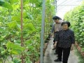 娱乐圈吃瓜代号蜜蜂是谁,娱乐圈神秘吃瓜者的真实身份揭秘