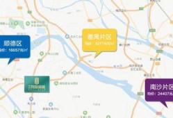 网红黑料在线 抖音网红大鹅,揭秘背后的黑料真相
